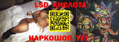 индика Рыбинск