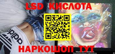 индика Рыбинск
