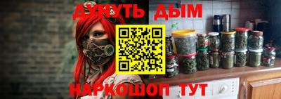 индика Рыбинск